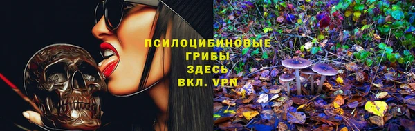 амф Ступино